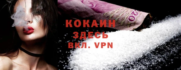 амф Вяземский