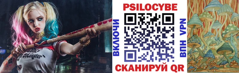Купить где  Аша  Галлюциногенные грибы мухоморы 